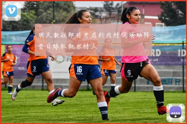 明天激战即将开启科内特现场助阵昔日球队凯尔特人